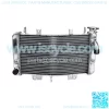 Polishing Aluminium Engine Cooling Radiator For Motorcycle