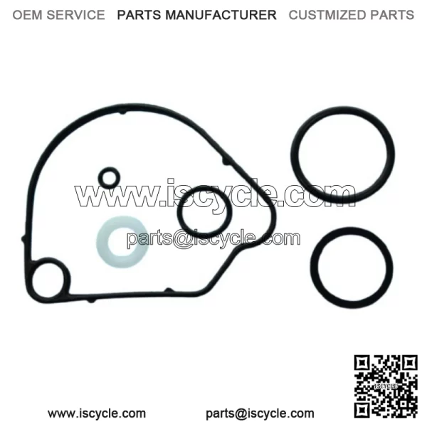 Honda Carburettor Seal Kit for Honda QR50 QR 50 New 16010GF8305