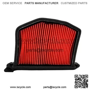 NEW 2020 - 2024 OEM KAWASAKI NINJA Z H2 AIR FILTER ZR1000 11013-0804