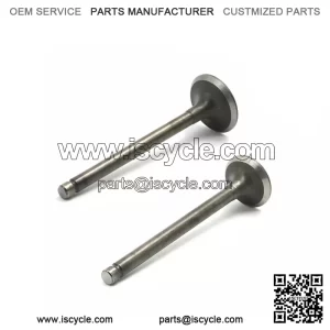 HONDA XR75 XL75 XR80 XR80R XR100R SHIN NIPPON INTAKE & EXHAUST VALVE SET NEW