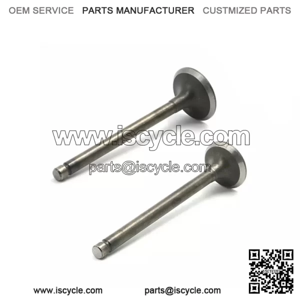 HONDA XR75 XL75 XR80 XR80R XR100R SHIN NIPPON INTAKE & EXHAUST VALVE SET NEW