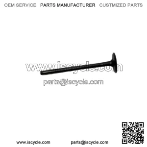 2008 - 2012 KAWASAKI NINJA 250R INTAKE VALVE New 12004-0749