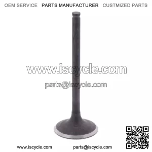 Kawasaki 2008-2017 Klx450r Exhaust Valve OEM New 12005-0044