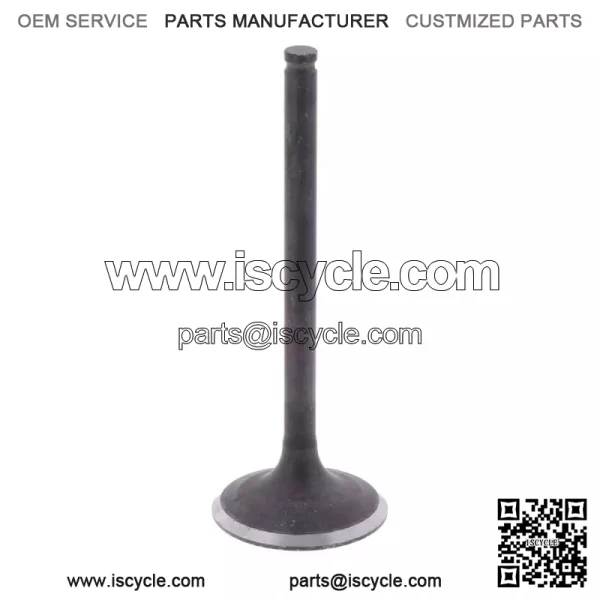 Kawasaki 2008-2017 Klx450r Exhaust Valve OEM New 12005-0044