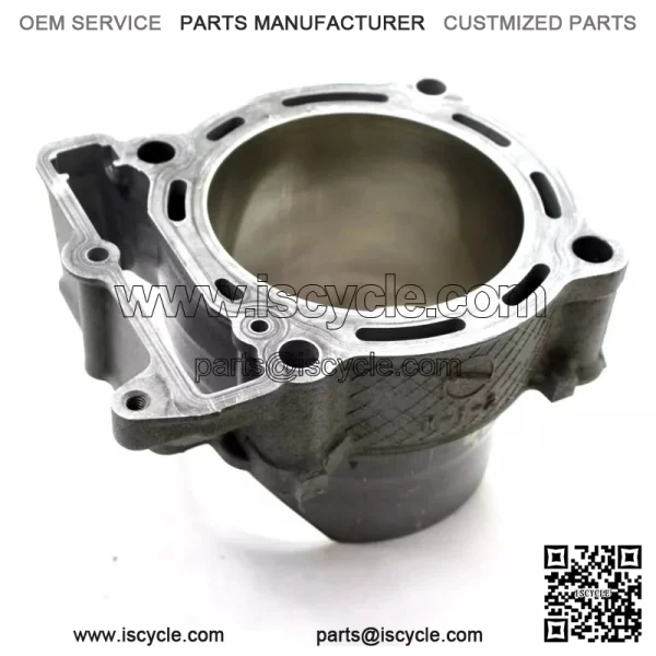 Kawasaki 2019-2020 Kx450 Cylinder Engine 11005-0704 New OEM