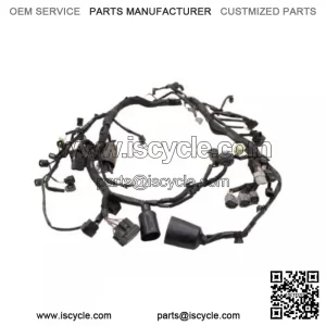 KAWASAKI MAIN HARNESS ENGINE WIRE WIRING PLUGS COMPLETE ZX6R