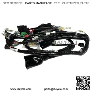 HONDA WIRING WIRE HARNESS 2006 - 2023 RUCKUS NPS50 New 32100-GEZ-610