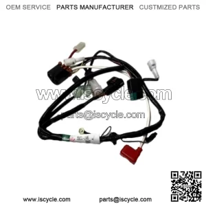 Kawasaki 2002-2020 KLX110 HARNESS, MAIN 26031-1105