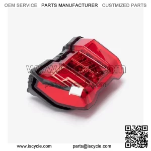 Tail Light Assembly for Loncin LX650-2C,Voge 650DSX Euro 5 LX650-2C-E5 CMPO LED