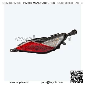 Right Tail Light for Loncin LX6000D-A,Voge ER10 Euro 5 LX6000D-A-E5 CMPO LED Red