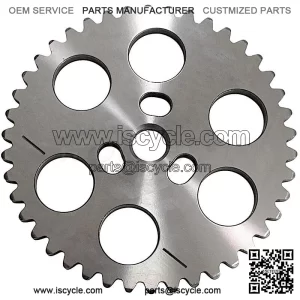Timing Gear SFA 1000