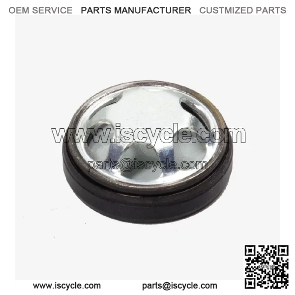 Scooter Sight Glass for Loncin LX500-K,Voge 500DSX Euro 5 LX500-K-E5 (STGL001)