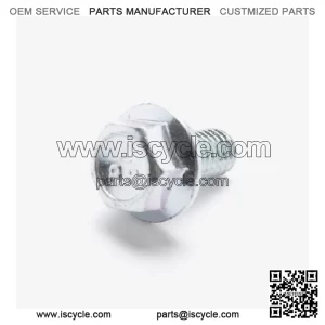 Scooter Flanged Hex Bolt for Loncin LX500-K,Voge 500DSX Euro 5 LX500-K-E5 CMPO