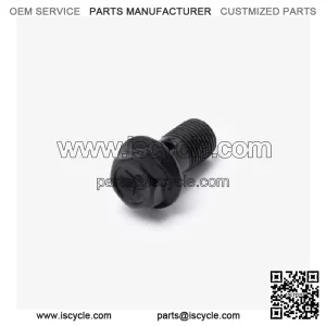 Banjo Bolt for Loncin , , , Voge 500AC Euro 5, 500DS Euro 5, ER10 Euro 5 CMPO