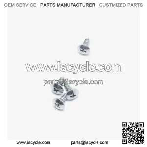 Speedo Assembly Bracket Screw for LX650-2C-E5 for Loncin , Voge 650DSX Euro 5