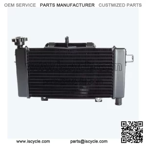Radiator for LX500-J-E5 for Loncin LX500-J,Voge 500DS Euro 5 LX500-J-E5 CMPO