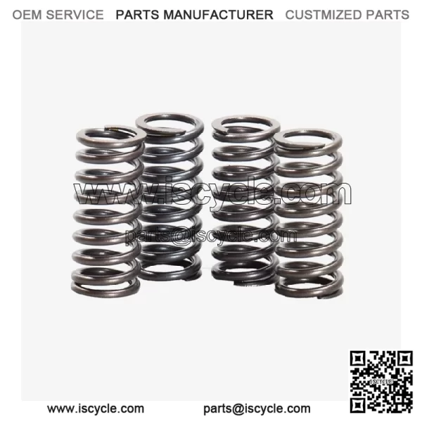 Scooter Clutch Springs (set) for Loncin LX500-K,Voge 500DSX Euro 5 LX500-K-E5