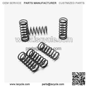 Scooter Clutch Springs for Loncin LX650-2C,Voge 650DSX Euro 5 LX650-2C-E5 CMPO
