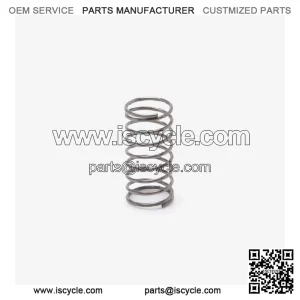 Spring for LX650-2C-E5 for Loncin LX650-2C,Voge 650DSX Euro 5 LX650-2C-E5 CMPO