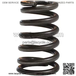 Valve Spring SFA 1000