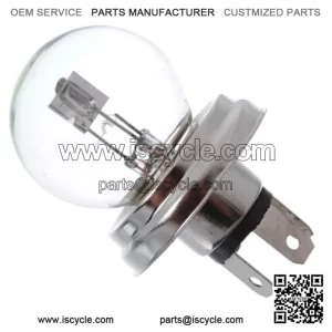 Bulb kawasaki KFX Praire KVF 650 700 92069-1114