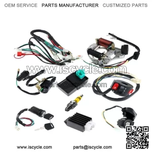 CDI Wire Harness Stator Assembly Wiring Fit 50 70 90 110 125cc ATV Electric Quad