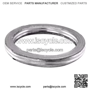 Exhaust gasket ODES 800 21040400101