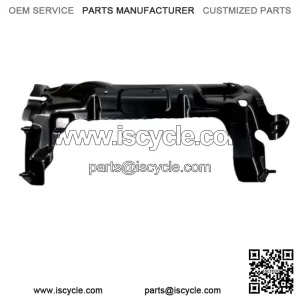 kawasaki 2021 2022 2023 2024 ZX10R ZX10RR ZX10 NEW original radiator panel