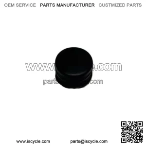 Honda TRX300 TRX350 Fourtrax Cylinder Head Side Cap New 12312-HC4-005