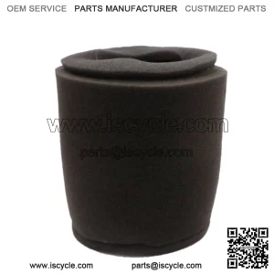 Air filter CFMOTO 500 X5 0180-112001