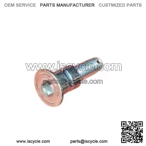 HONDA REAR BRAKE PEDAL ALLEN HEAD PIVOT BOLT CRF250X, CRF450X, CRF 250X, 450X