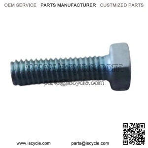 Screw for connecting plate