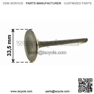 Exhaust valve LINHAI 400 27223