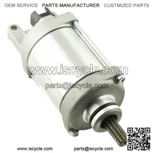 Complete Starter Motor for Honda Forza NSS125 (2001-2014)