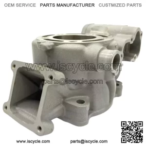 KAWASAKI ENGINE CYLINDER 11005-0626 11005-0758 fit 2014 - 2021 KX100