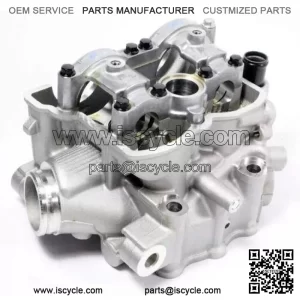 Kawasaki 2009-2010 KX250F Cylinder Head New 11008-0191