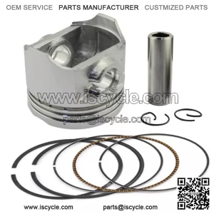 Honda Quality Piston Kit Set 02-09 CHF50 Metro, 03-22 NPS50 Ruckus Top End