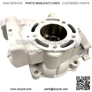 In 2014 - 2021 KAWASAKI KX85 KX 85 Engine Cylinder 11005-0749 New