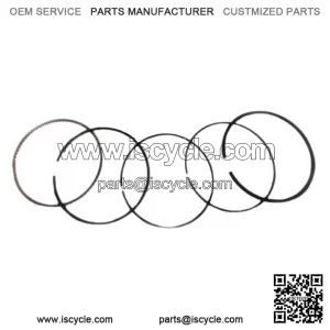 Standard Piston Rings Kit Set ATC ES TRX 250 300 FW X Honda