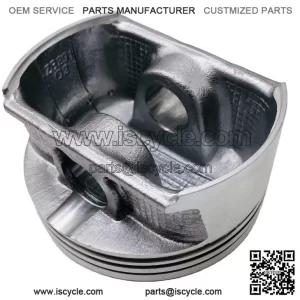 Piston ODES 800 21040108201