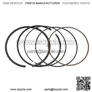 Piston rings ODES 21170100301