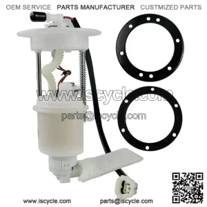 Fuel Pump CFMOTO 450 500 550 901F-150900
