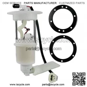 Fuel Pump CFMOTO 450 500 550 901F-150900-10000