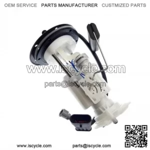 Fuel pump LINHAI 500 550 36442 (old model)