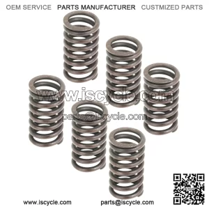 Clutch Hub Springs for Honda CB750C CB750K CB750L CB750SC 1979-1983
