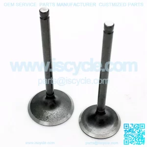 CF250 intake and exhaust valve