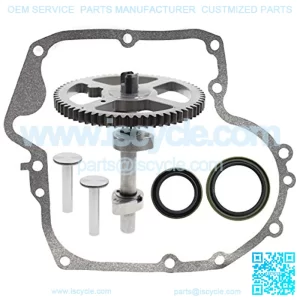 793880 Camshaft for Briggs & Stratton 793583 792681 791942 795102 Camshaft Kit with 697110 Gasket, 795387 Oil Seal