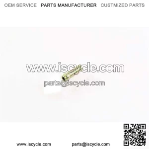 Spigot in cylinder head Benelli 100106030000
