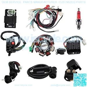 Complete Wiring Harness kit With Electrics Stator Coil CDI Wiring Harness Solenoid Relay Spark Plug For ATV Quad 4 Four Wheelers 150CC 200CC 250CC Go Kart Dirt Pit Bikes by KAKO
