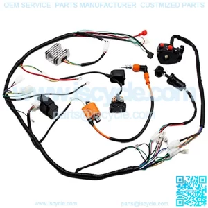 Wiring Harness Loom Key Solenoid Performance Coil Regulator CDI 150cc 200cc 250cc 300cc ATV Quad Dirt Bike